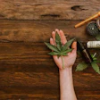 Crece el mercado mundial del cannabis.
