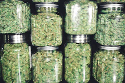 Crece tendencia ´verde´ mercado de empaques de cannabis.