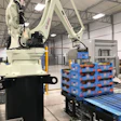 Fabricante de tomates automatiza paletizador para apilar más alto y más rápido
