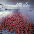 El factor frío: qué buscar en equipos eficientes de congelación y refrigeración