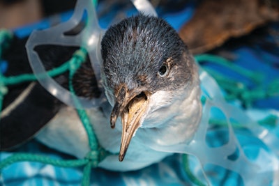 Soluciones para una economía circular de los plásticos