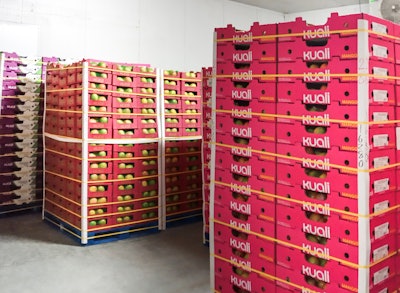 Fruta-Exporta, una operación madura en codificación y trazabilidad en México