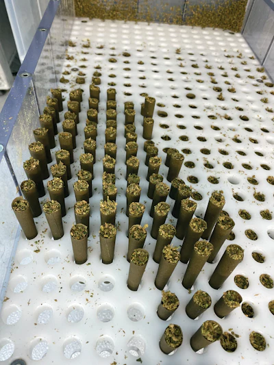 Operación de cannabis asume pronunciada curva de aprendizaje en envases