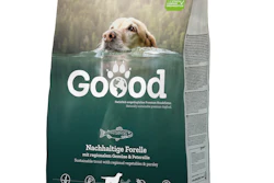 Nuevo envase premium de papel que reduce huella de CO2
