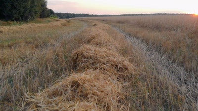 Con desechos de paja de cebada AB InBev revoluciona futuro del empaque de cerveza