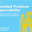 Lanzamiento de convocatoria mundial por la Responsabilidad Extendida del Productor en empaque