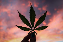 Uso recreativo del cannabis gana terreno en México