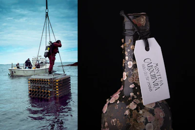Botellas de los vinos añejos Vinho do Mar y Black Sea, ganadoras del premio Pentawwards 2021