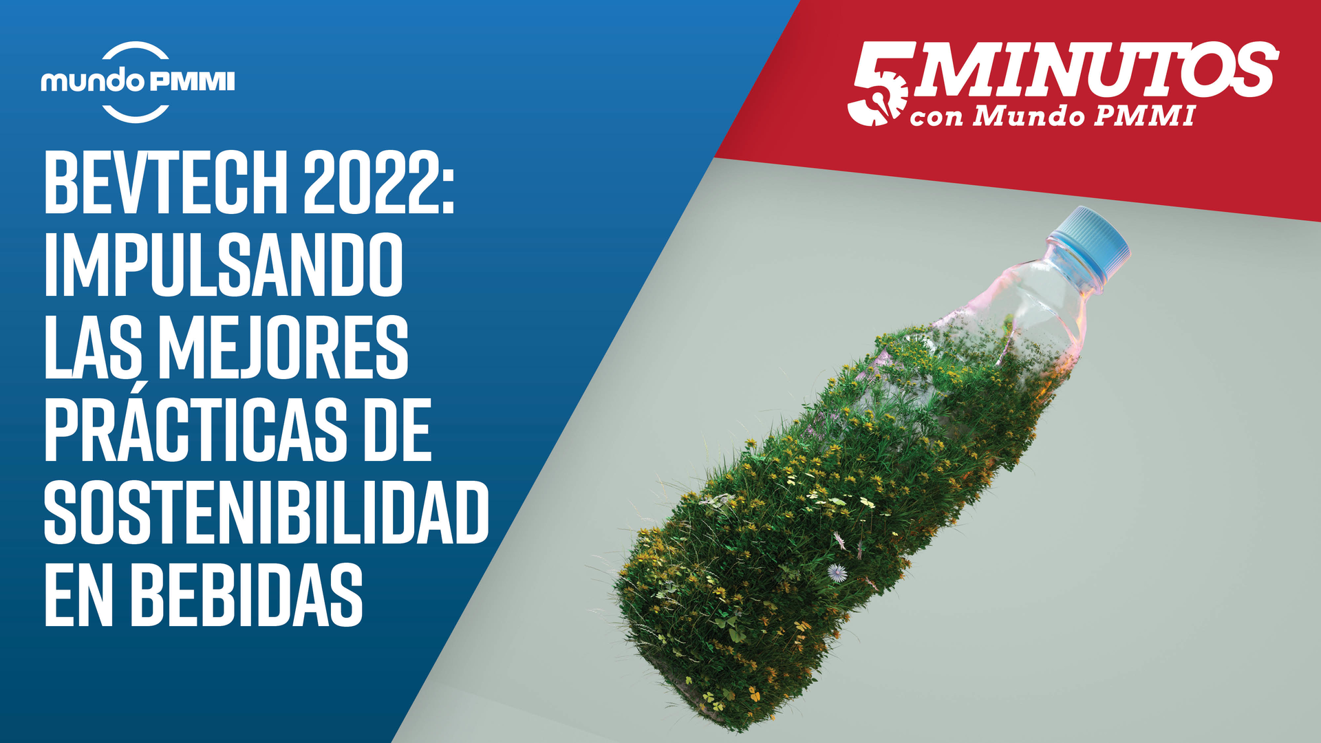 Mundo Cover Base