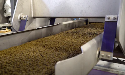 Con más de 19 años de experiencia, BPI produce más de 150 tipos de alimentos para mascotas, que llegan tanto a clientes locales como alrededor del mundo.