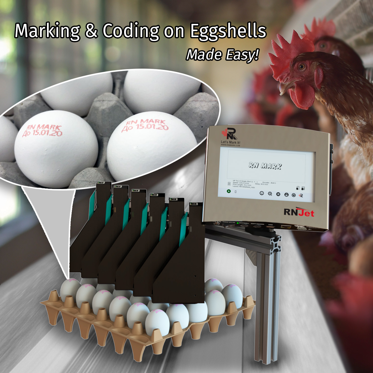 Egg Printer Promo