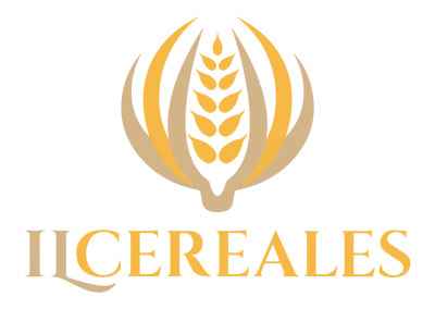 Thumbnail Ilcereal Logo Dig