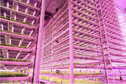 Instalación agrícola vertical