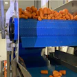 Las áreas de mayor preocupación para los rodamientos dentro de las operaciones de McEntire Produce son los lugares donde los transportadores pasan sobre el alimento.