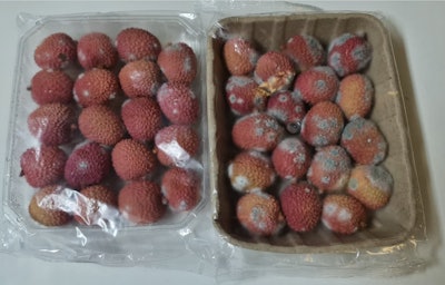 Una prueba de fruta de lichi en una bandeja de PET versus un empaque de pulpa moldeada demuestra cómo la naturaleza porosa de los envases a base de fibra conduce a patógenos de crecimiento que luego afectan a la fruta.