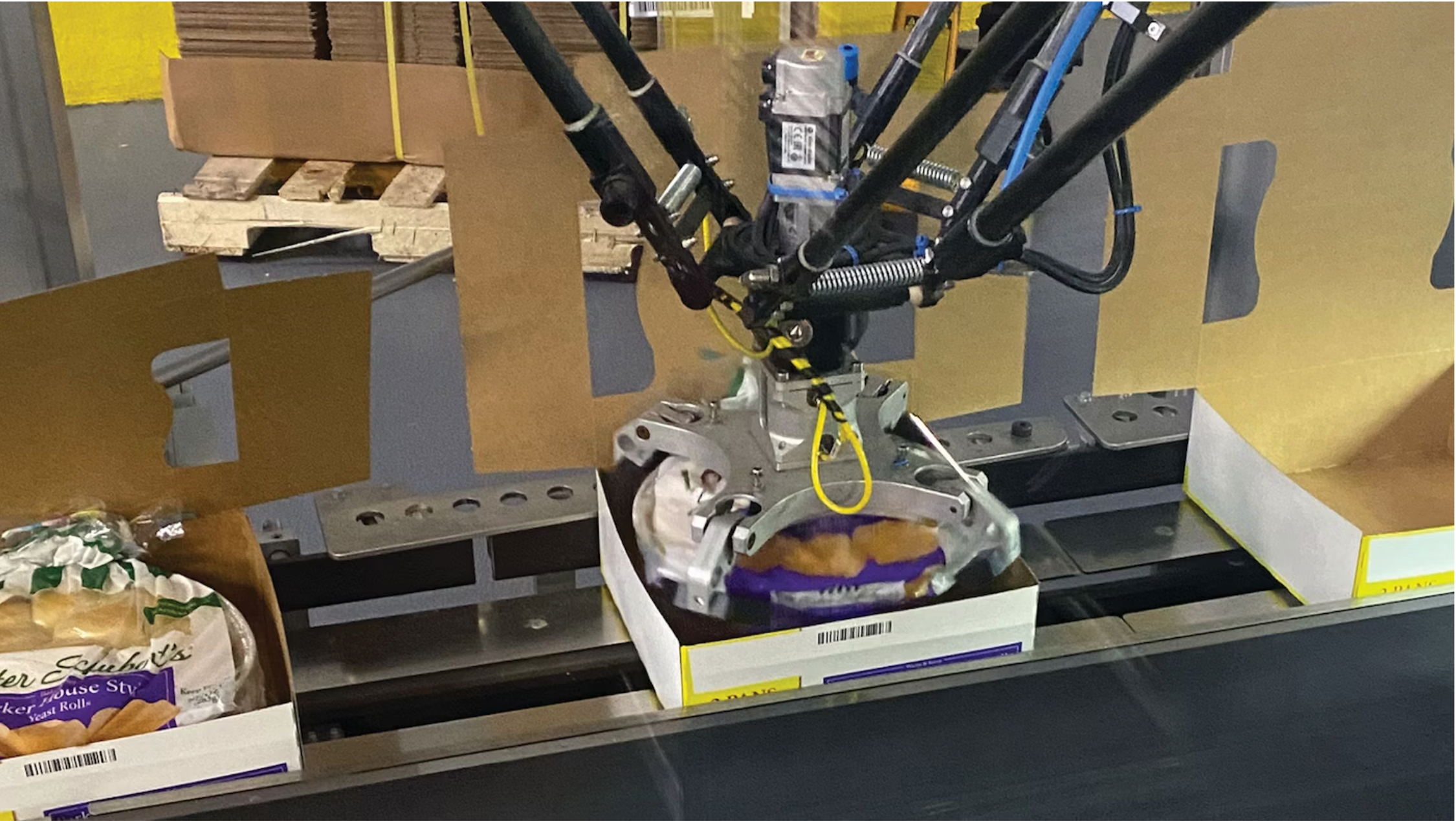 Para cajas de cart&oacute;n de empaque doble, el robot estilo delta toma bandejas en bolsas de la cinta transportadora en primer plano, las gira para que la ponytail est&eacute; en la posici&oacute;n de las 12 en punto y las coloca en una caja de cart&oacute;n que se erige a partir de un espacio en blanco plano aguas arriba.