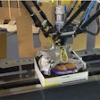 Para cajas de cartón de empaque doble, el robot estilo delta toma bandejas en bolsas de la cinta transportadora en primer plano, las gira para que la ponytail esté en la posición de las 12 en punto y las coloca en una caja de cartón que se erige a partir de un espacio en blanco plano aguas arriba.