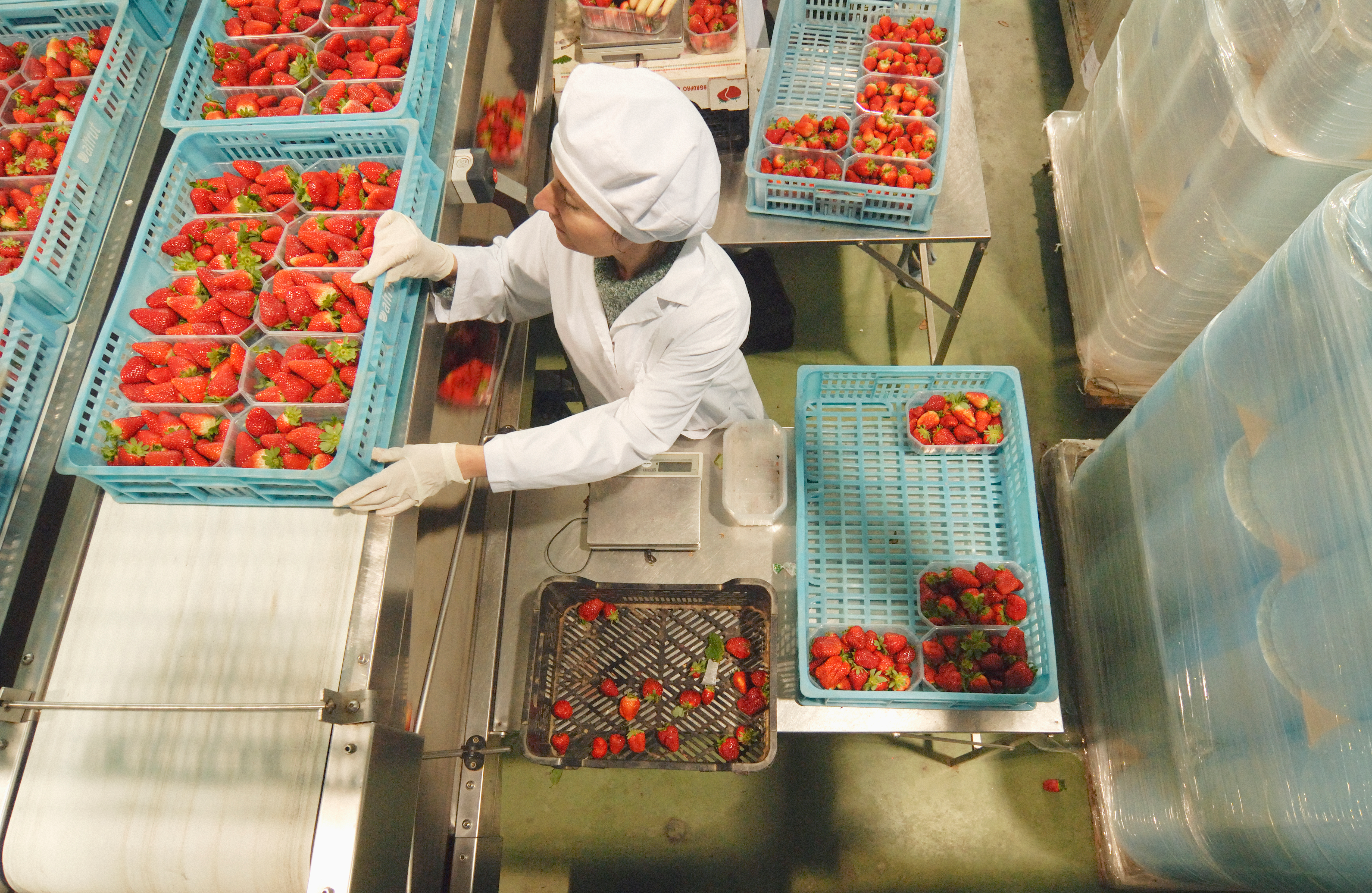 Alianza Global para Empaque Sostenible de Alimentos