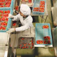Alianza Global para Empaque Sostenible de Alimentos