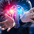 Para innovar en empaques es muy importante integrar la voz del consumidor, conocer sus expectativas y los puntos débiles que señalen áreas de oportunidad en el desarrollo de los empaques.