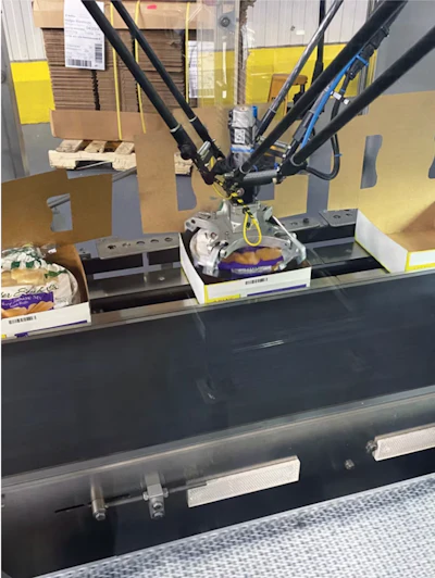 Marzetti utiliza robots delta para recoger bandejas empaquetadas de rollos Sister Schubert de la cinta transportadora, rotarlas para que la cola de caballo esté en la posición de las 12 en punto y colocarlas en una caja de cartón.