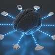 Neuromarketing Y Empaques