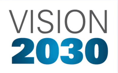 Visión 2030 México Pmmi