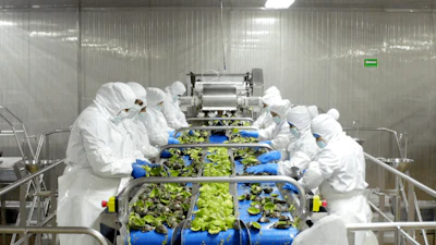Procesamiento De Guacamole En Rv Fresh Uruapan México
