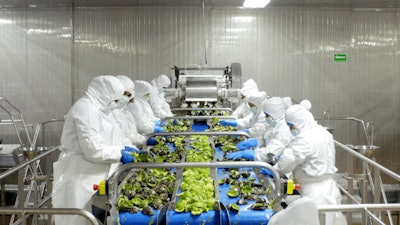 Procesamiento De Guacamole En Rv Fresh Uruapan México