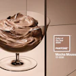 Mocha Mousse Pantone 2025 diseño de empaques