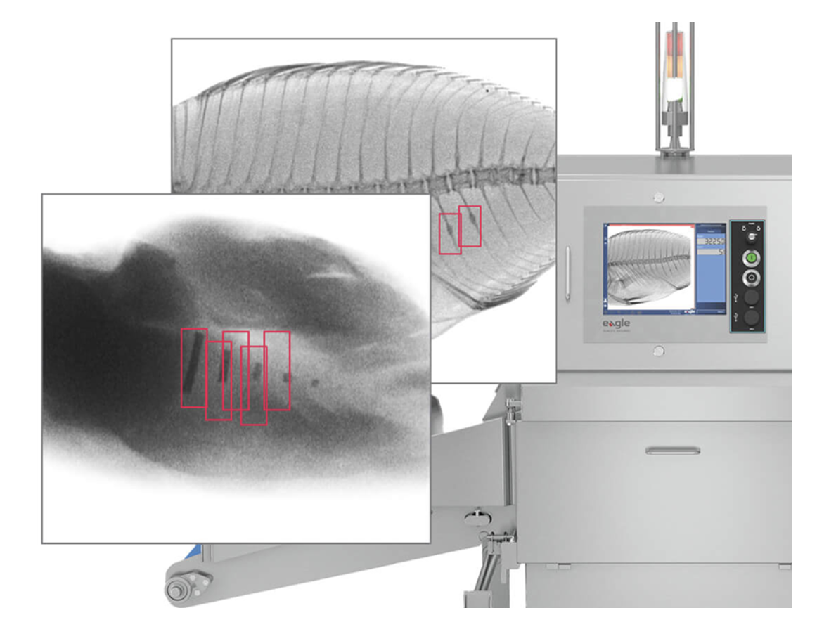 Pxt Detector De Conteo De Fotones Eagle Product Inspection