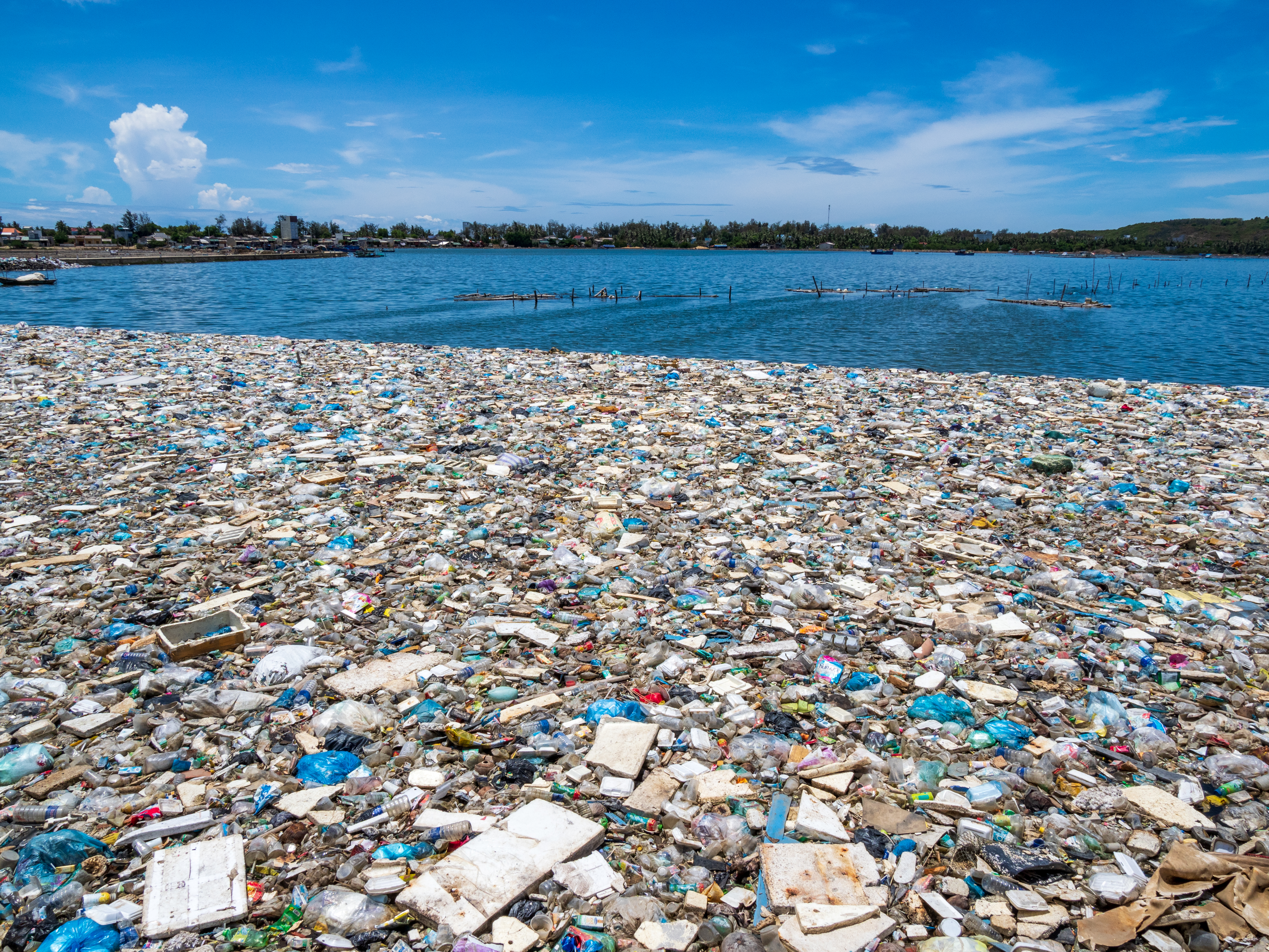 Contaminacion Por Plasticos Ginebra Inc 5 2