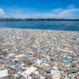 Massive plastic waste pollution covering a coastal waterway with blue sky and trees in background