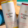 Concha y Toro introduce el vino en lata con Casillero del Diablo, una apuesta por la innovación, la sostenibilidad y la conexión con nuevas generaciones.