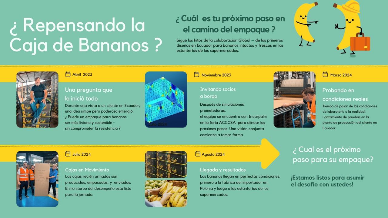 Mondi present&oacute; una innovaci&oacute;n que promete transformar el transporte internacional de frutas tropicales: una caja de banano m&aacute;s ligera, resistente y con menor impacto ambiental.