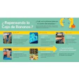 Mondi presentó una innovación que promete transformar el transporte internacional de frutas tropicales: una caja de banano más ligera, resistente y con menor impacto ambiental.