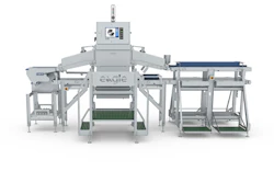 Eagle industrial sorting machine with conveyor system and control panel