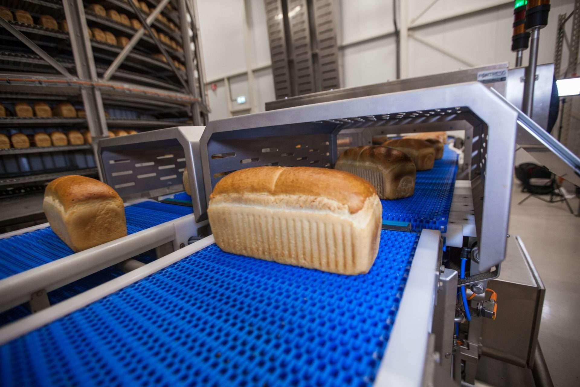 Fresh bread loaves on blue conveyor belt in industrial bakery production facility
