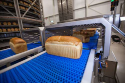 Fresh bread loaves on blue conveyor belt in industrial bakery production facility