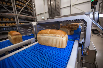 Fresh bread loaves on blue conveyor belt in industrial bakery production facility